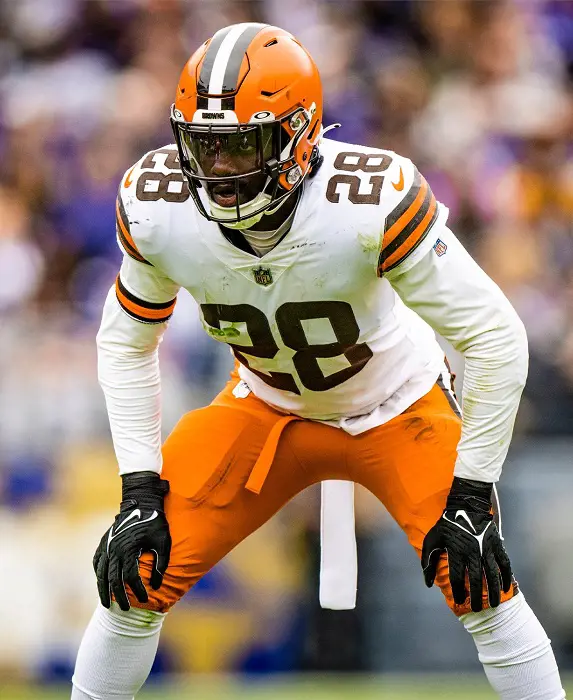The Browns participate in the AFC North divison.